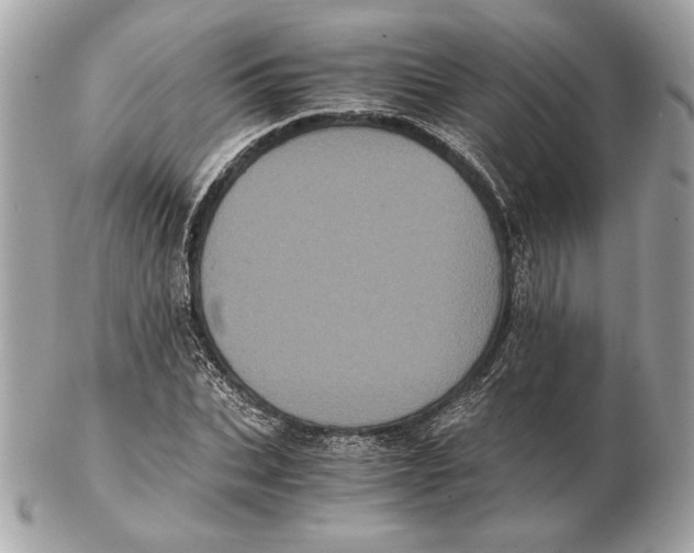 X0000102480927200808291624