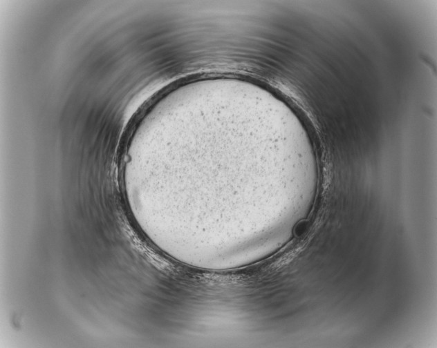 X0000102480928200808291624