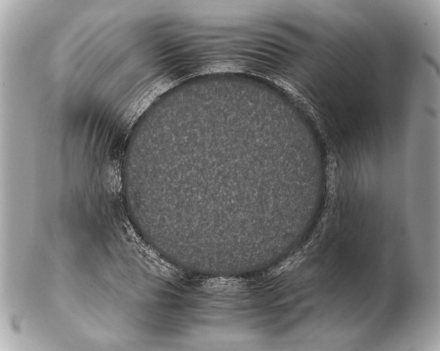 X0000102480929200808291624