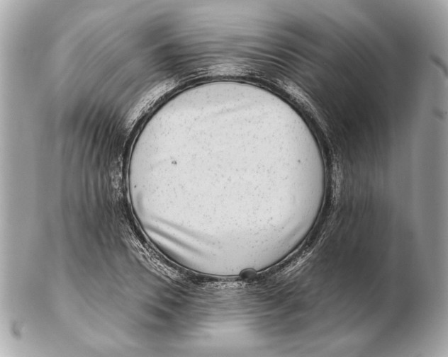 X0000102480930200808291624