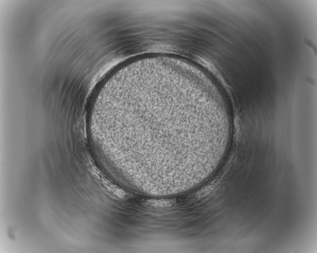 X0000102480931200808291624