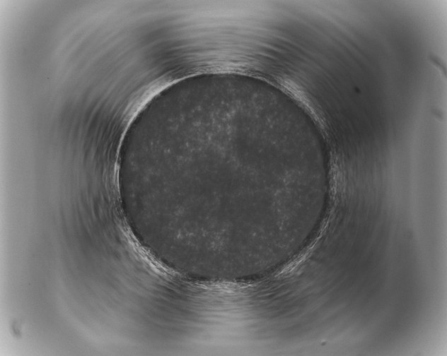 X0000102480932200808291624