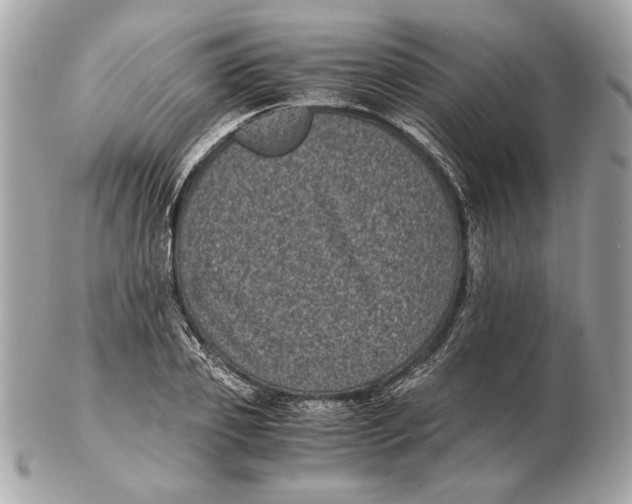 X0000102480933200808291624