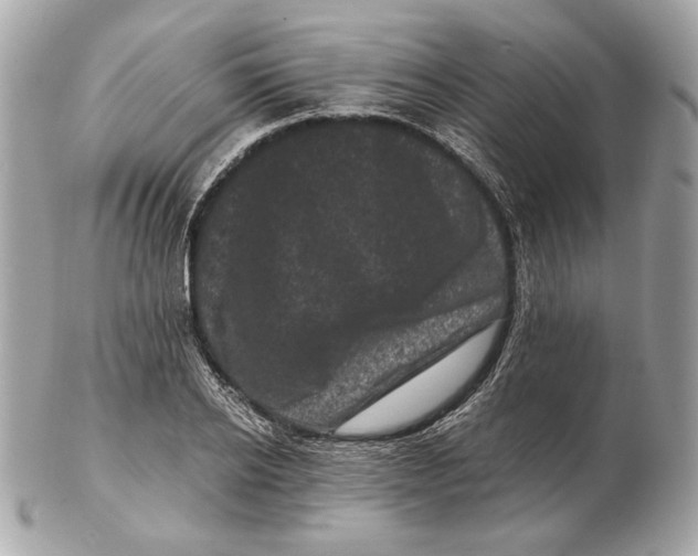 X0000102480934200808291624