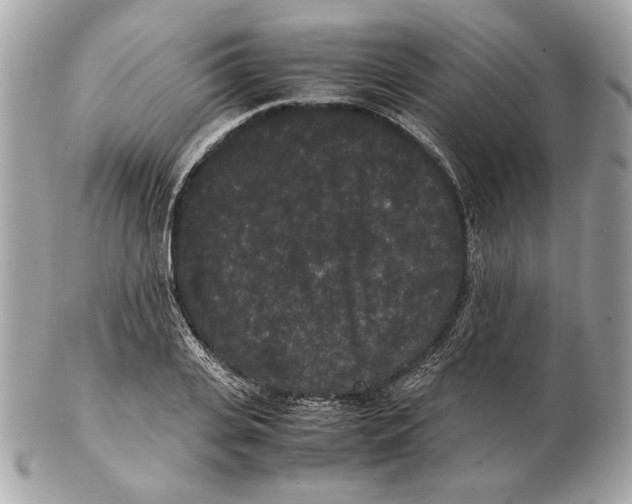 X0000102480935200808291624