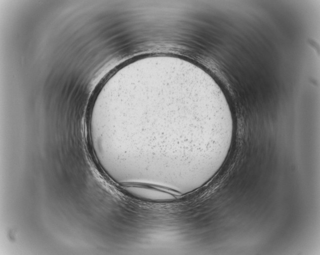 X0000102480936200808291624