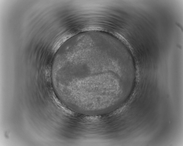 X0000102480937200808291624