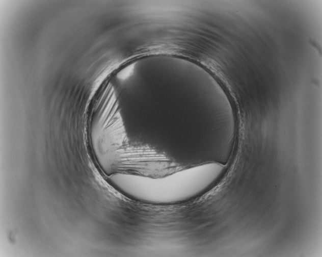 X0000102480941200808291624