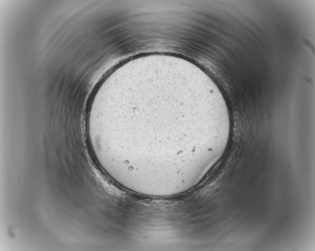 X0000102480942200808291624