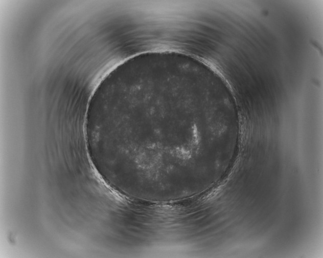 X0000102480943200808291624