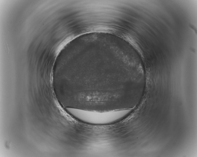 X0000102480944200808291624