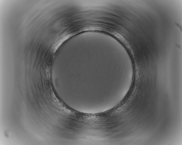 X0000102480945200808291624