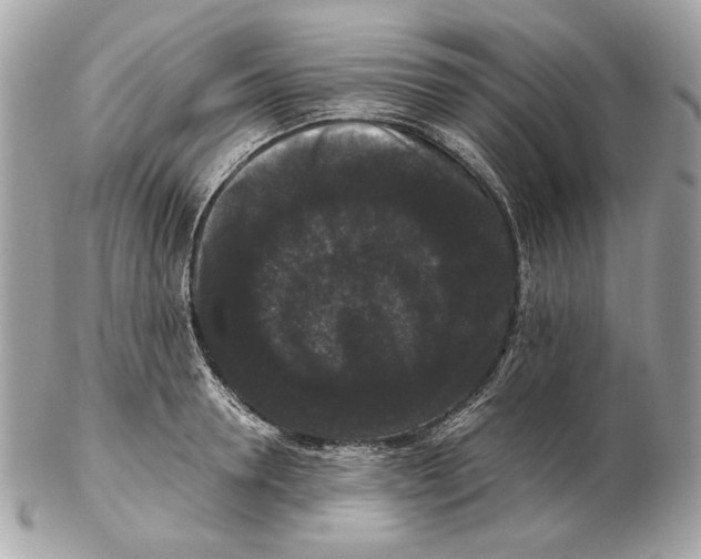 X0000102480946200808291624