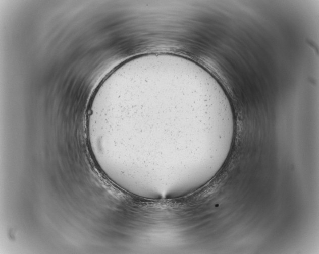 X0000102480948200808291624