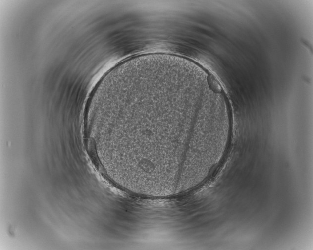 X0000102480949200808291624