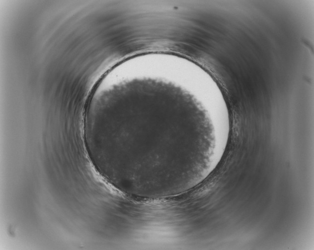 X0000102480950200808291624