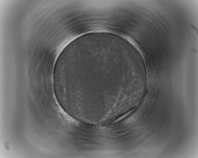 X0000102480951200808291624