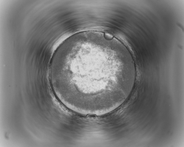 X0000102480952200808291624