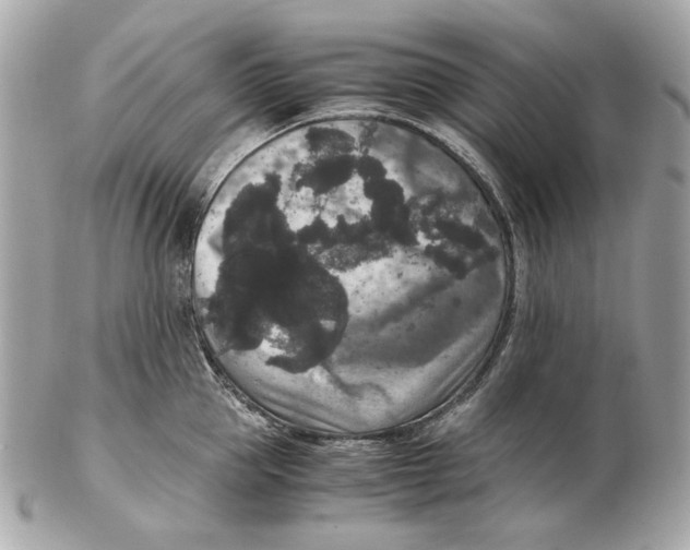 X0000102480953200808291624