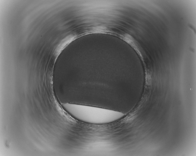 X0000102480954200808291624