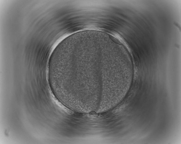 X0000102480955200808291624