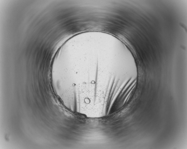 X0000102480956200808291624