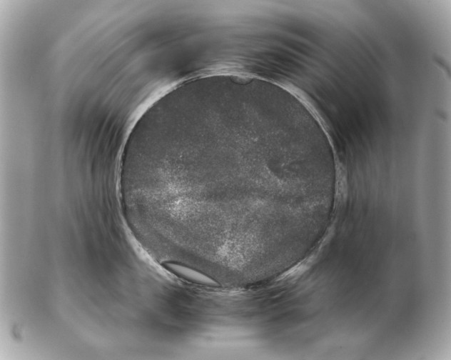 X0000102480957200808291624