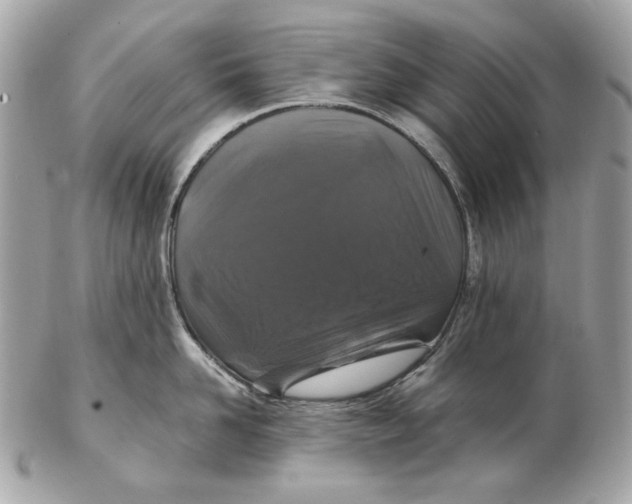 X0000102480958200808291624