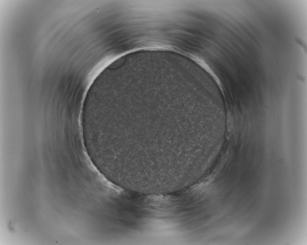 X0000102480959200808291624