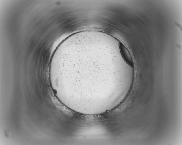 X0000102480960200808291624