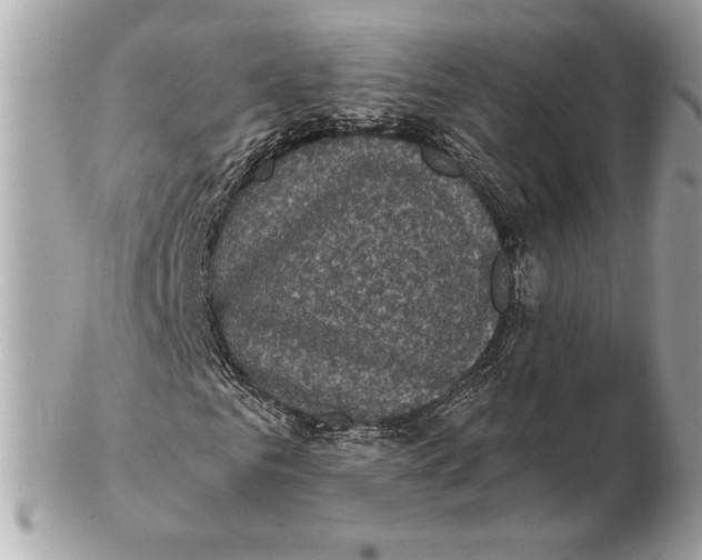 X0000102480961200808291623