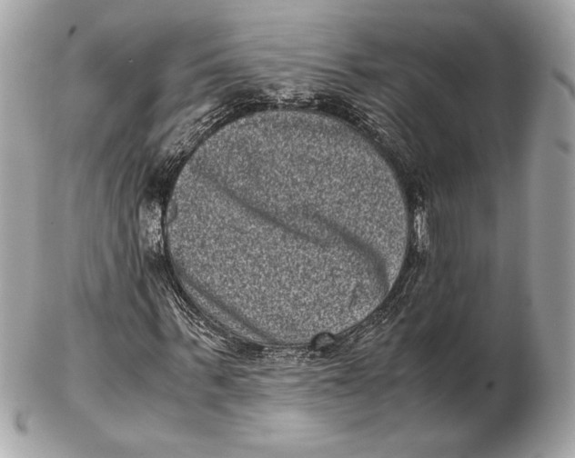 X0000102480963200808291623