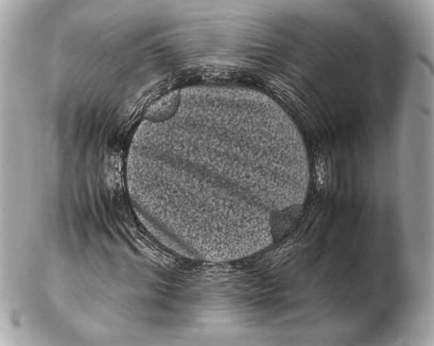 X0000102480964200808291623