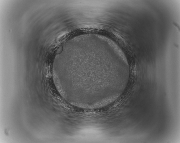 X0000102480965200808291623