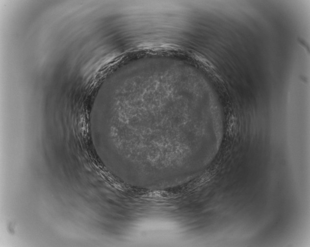 X0000102480966200808291623