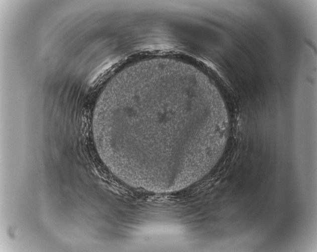 X0000102480967200808291623