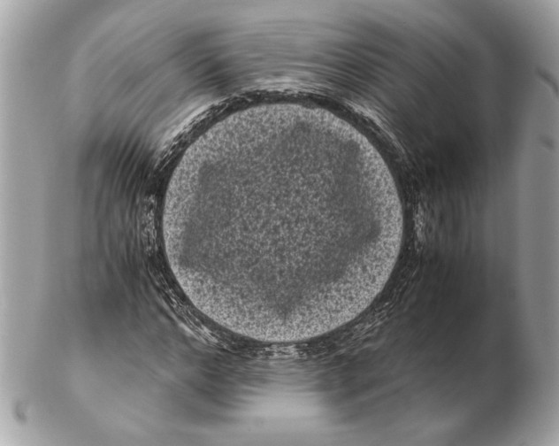 X0000102480968200808291623