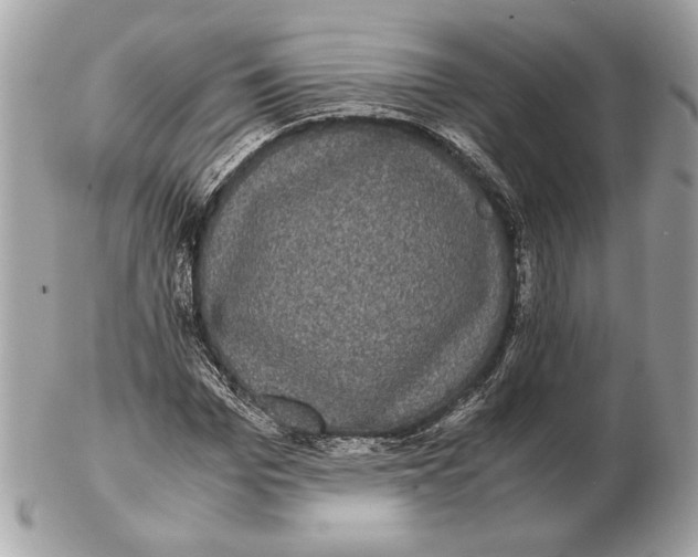 X0000102480969200808291623