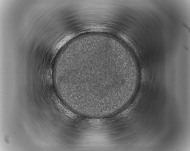 X0000102480970200808291623