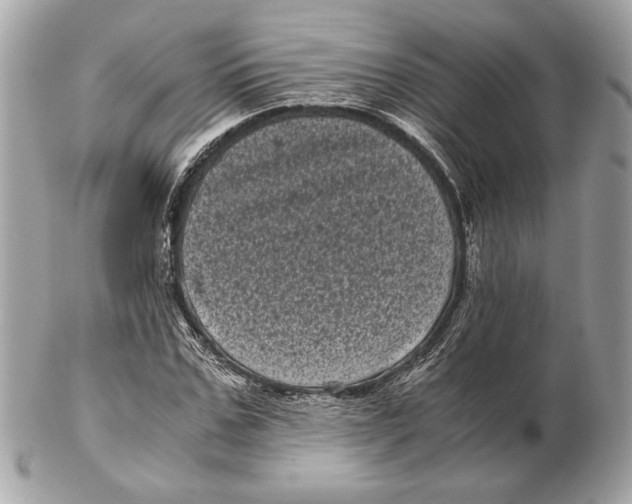 X0000102480971200808291623