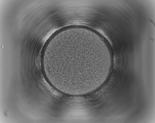 X0000102480972200808291623