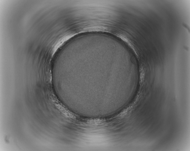 X0000102480973200808291623