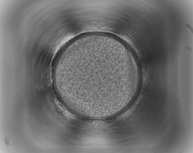 X0000102480974200808291623