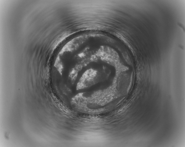 X0000102480975200808291623