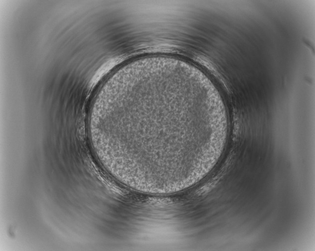 X0000102480978200808291623