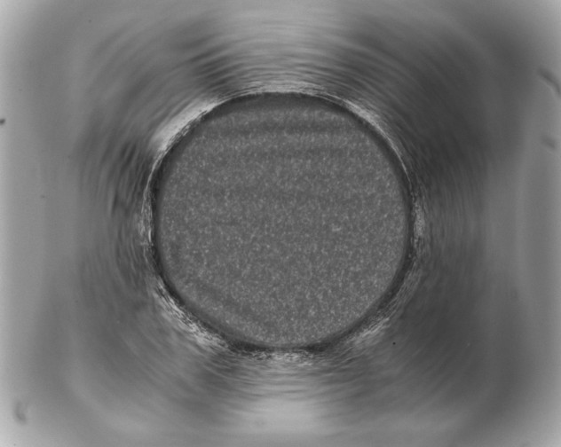 X0000102480979200808291623