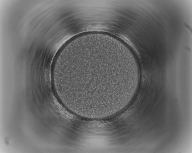 X0000102480980200808291623