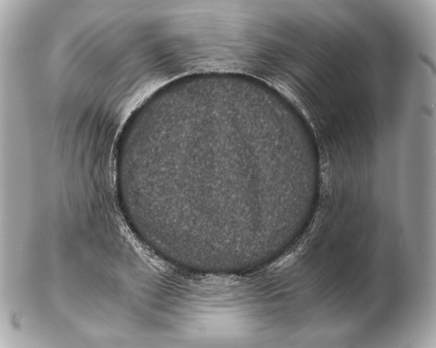 X0000102480981200808291623