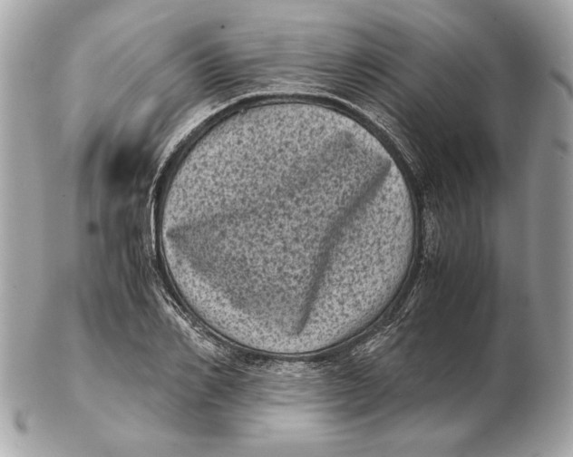 X0000102480982200808291623