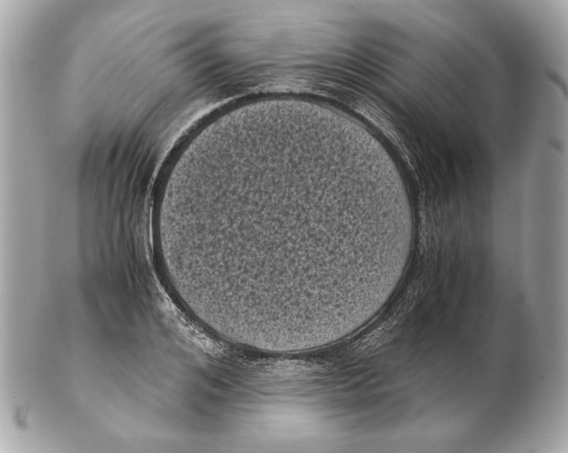 X0000102480984200808291623